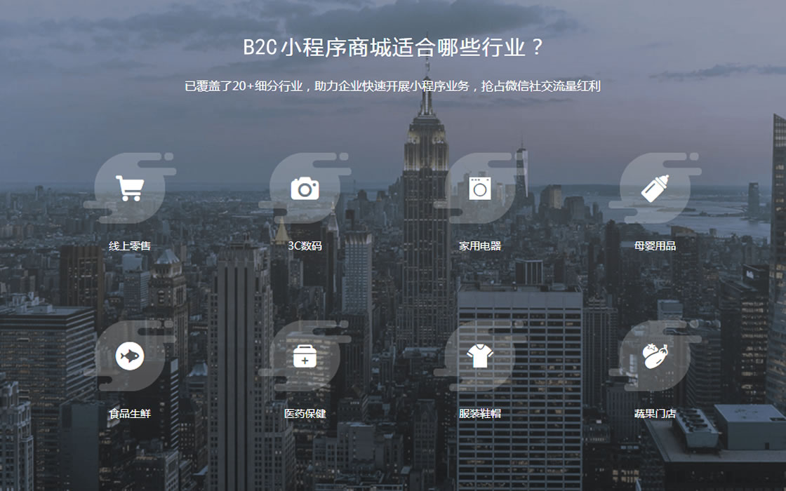 B2C电商小程序——拉新、转化、促活、复购、留存、推广，店铺经营面面俱到